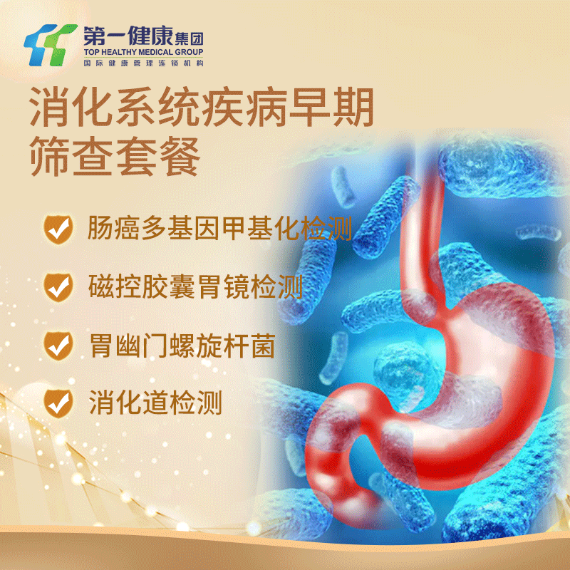 主图消化系统.png