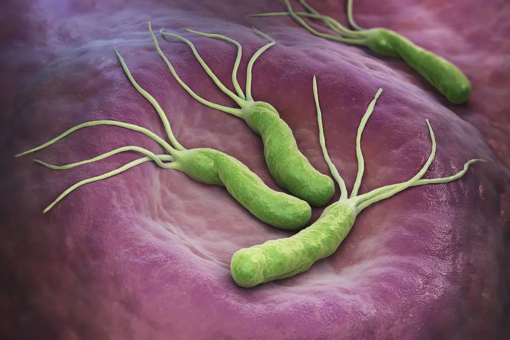 “吹口气”查幽门螺杆菌，数值越大就越容易得胃癌吗？